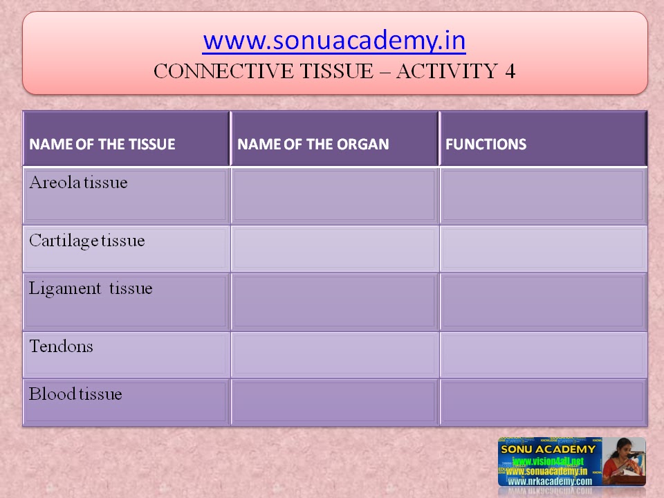 SONU ACADEMY: CONNECTIVE TISSUE-ACTIVITY(4)