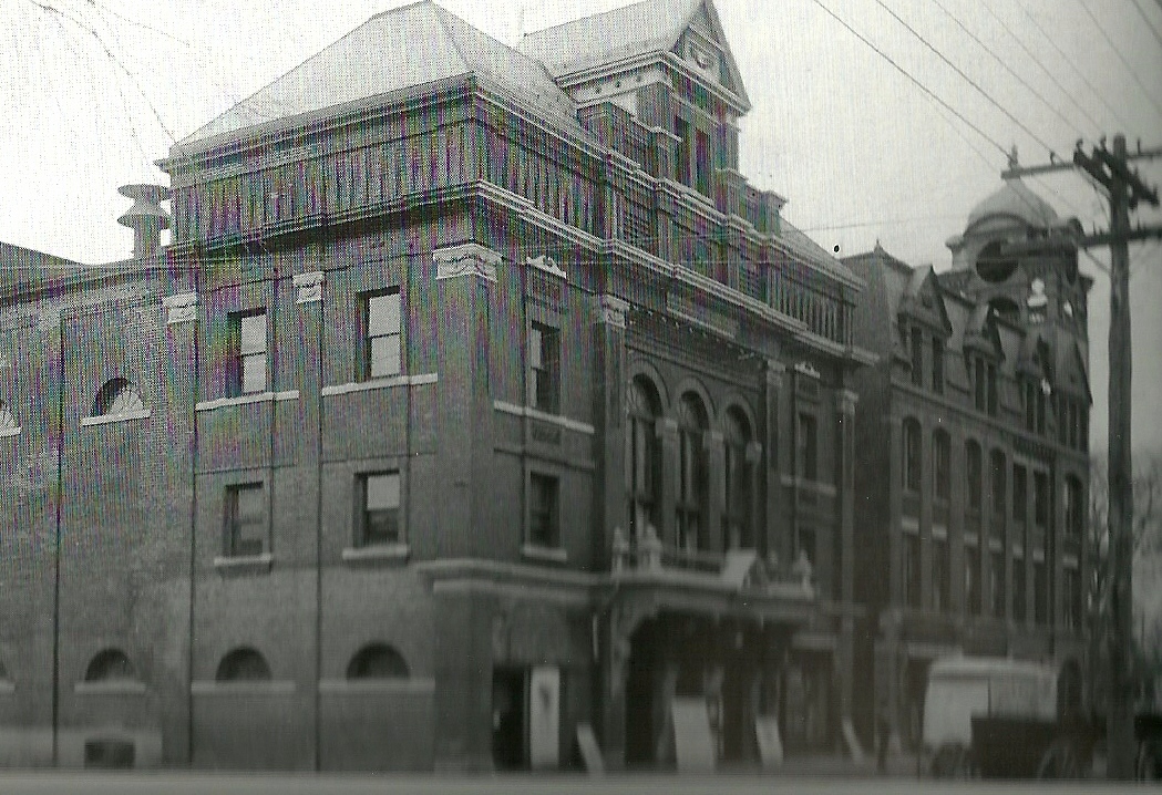 Cortland Contrarian THE BROWNIES ARE COMING TO CORTLAND
