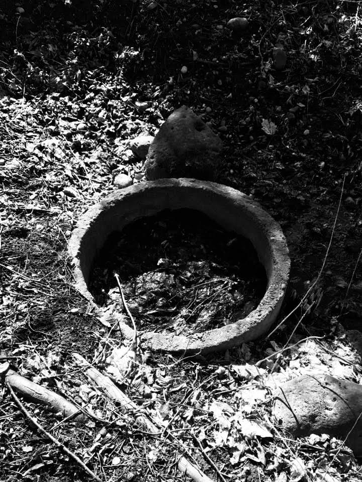 Book Reviews and More My Life in Black and White A Photo Essay