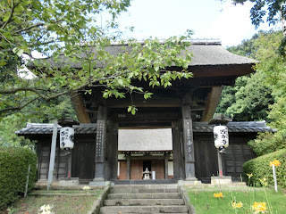 ���l�V�H�F������