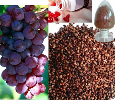 manfaat ekstrak biji anggur