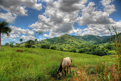 Paysage République Dominicaine avec sa région montagneuse et verdoyante.
