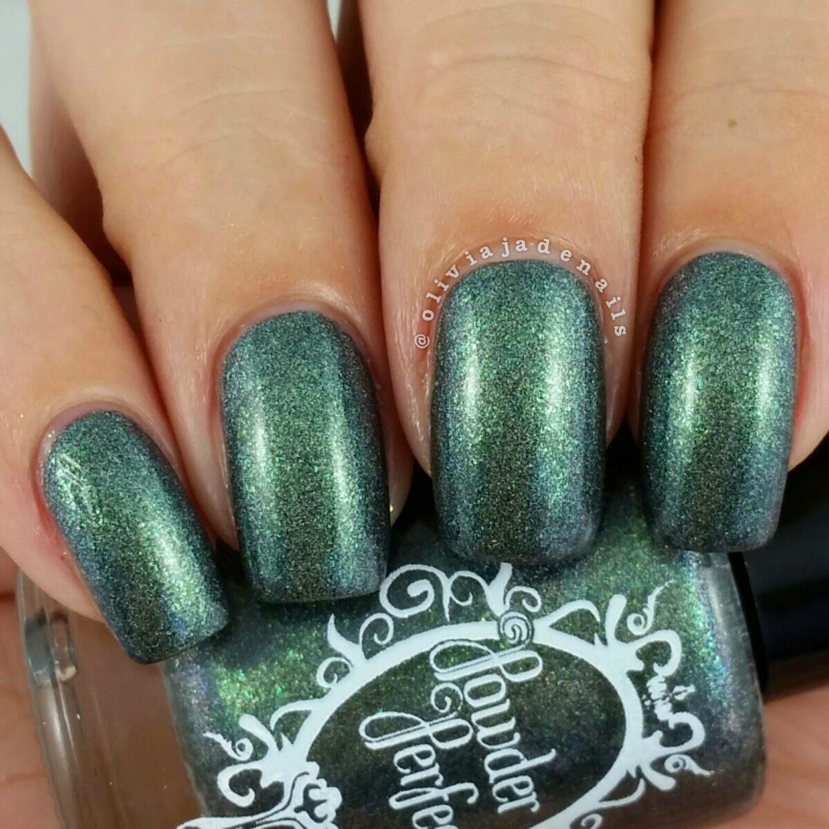 Powder Perfect Borders Of The Forest swatched by Olivia Jade Nails