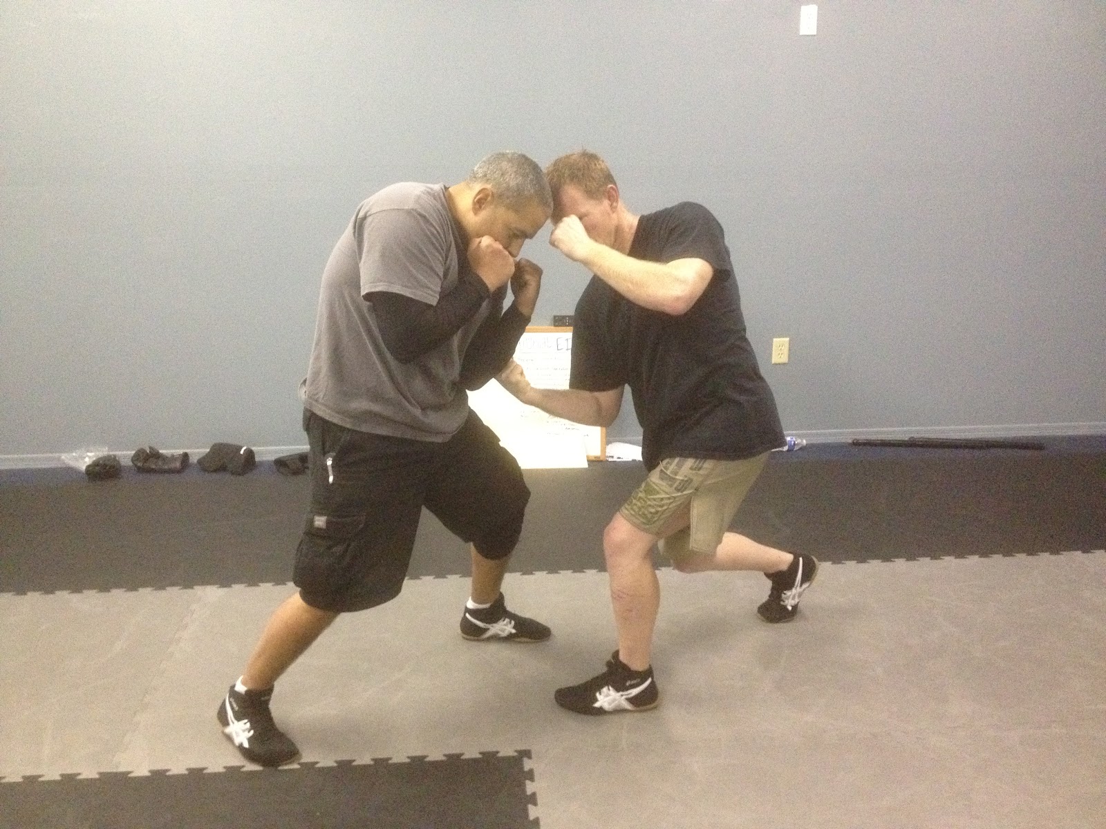 Functional Edge System January 2012