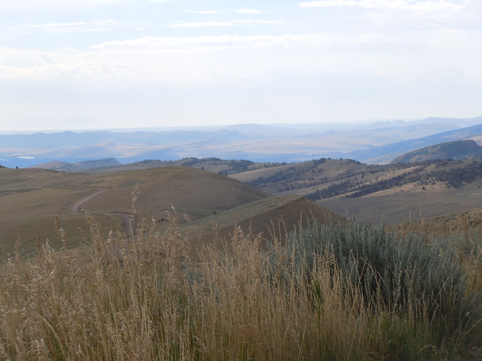 Wind Songs On Rattlesnake Mountain Part 1
