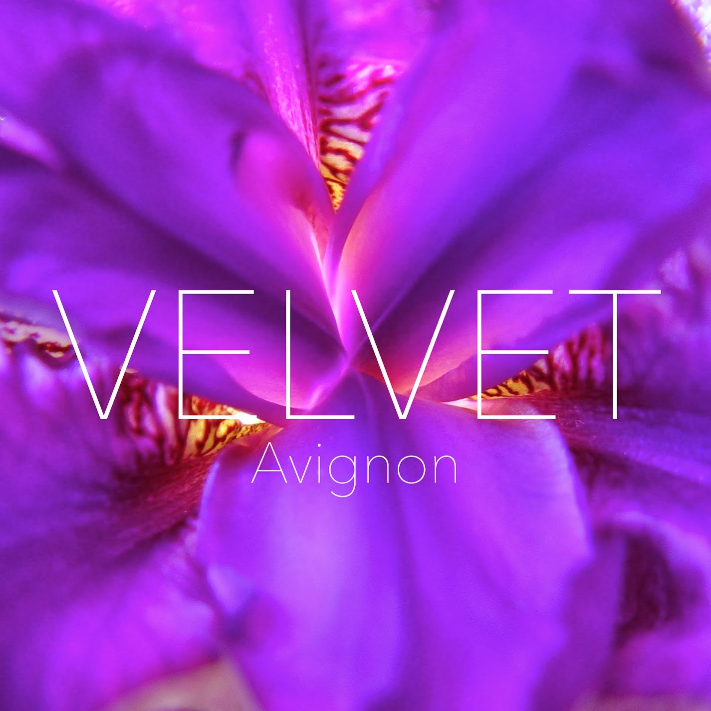 Velvet - Avignon  MUSIC