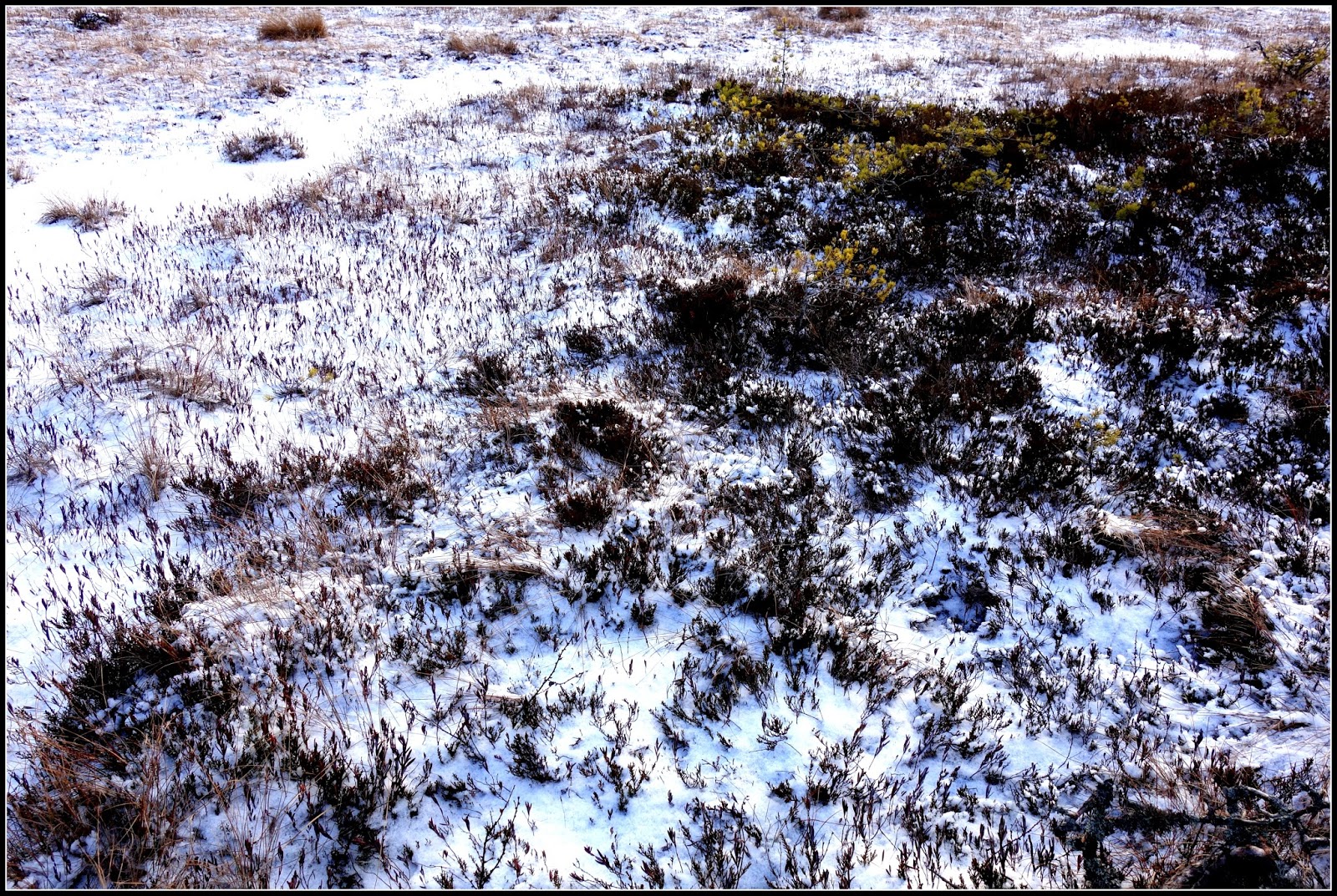 Hieronta porno onnellinen loppu