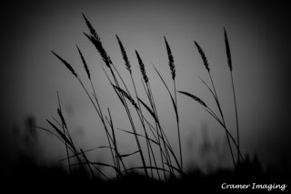 Cramer Imaging's professional quality nature black and white nature photograph of tall grass against sky in City of Rocks National Reserve, Idaho