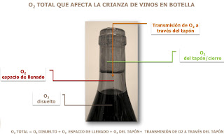 el%2Btap%2Bno%2Brespira%2BPaulo%2BLopes%2BES