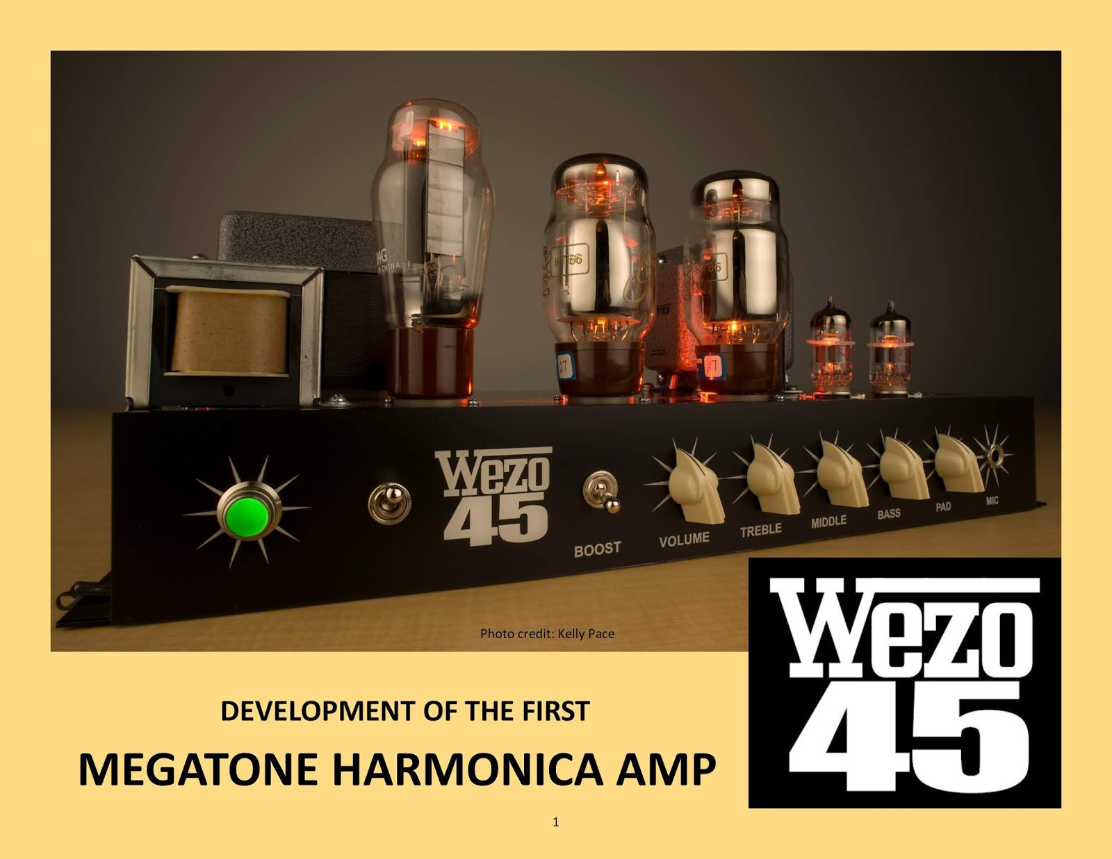 The MegaTone WEZO45 Harmonica Amp