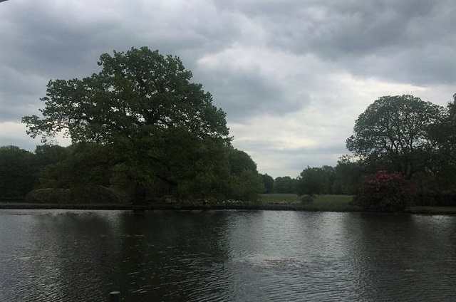 Versbildner September 2018