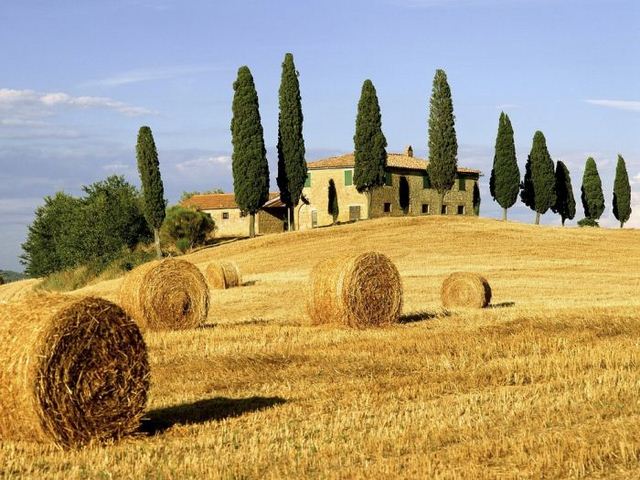 Tuscany hay fields photo
