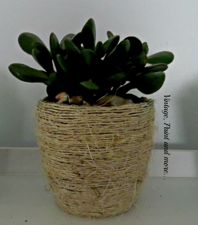 Succulents in Dollar Store Pots - jade plant, twine covered flower pot, succulent gardening, using succulents in the decor