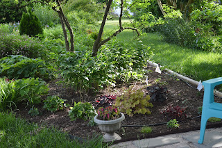 From the Garden Bench