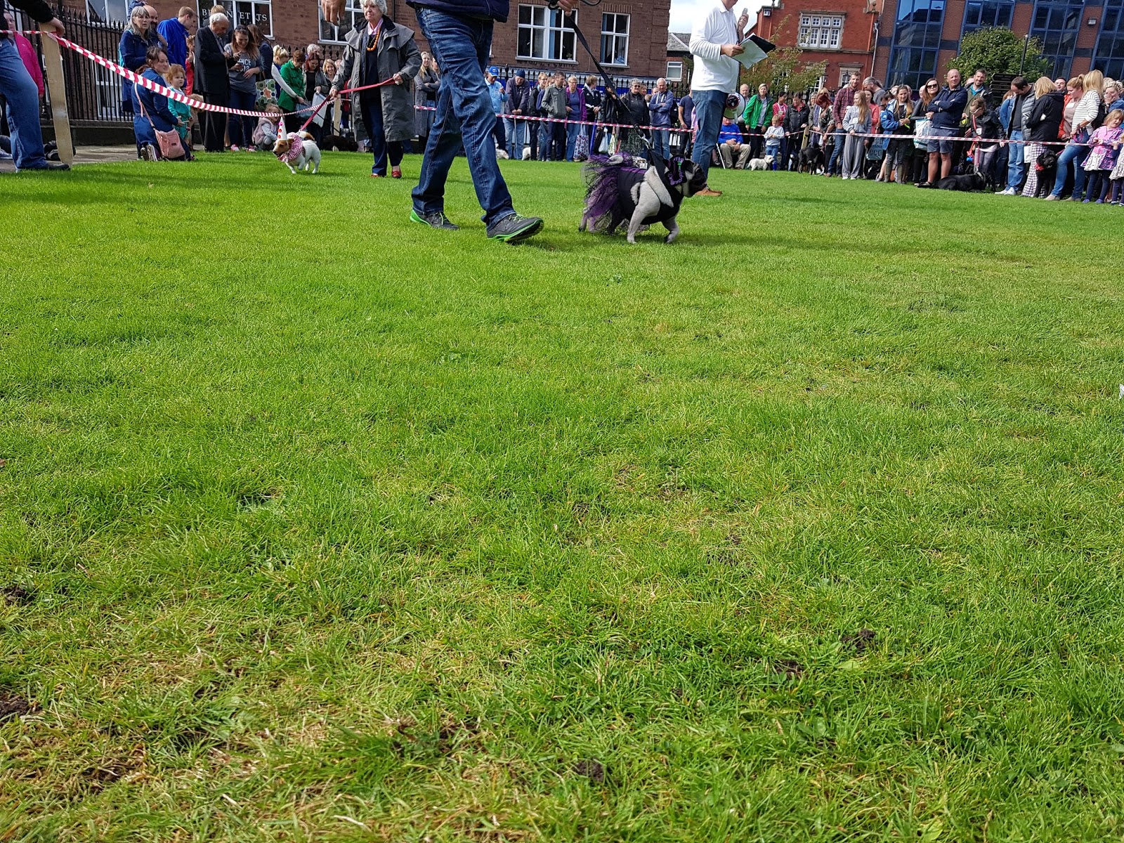 Dog Walking Macclesfield Dog Walking Macclesfield