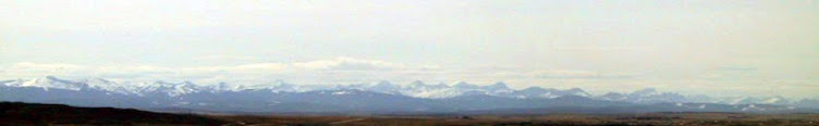 The Rocky Mountains seen from Calgary