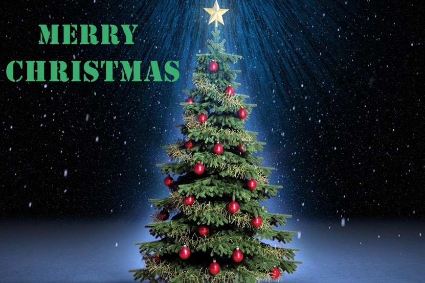 Beautiful Christmas Tree Image Christmas HD Tree Image