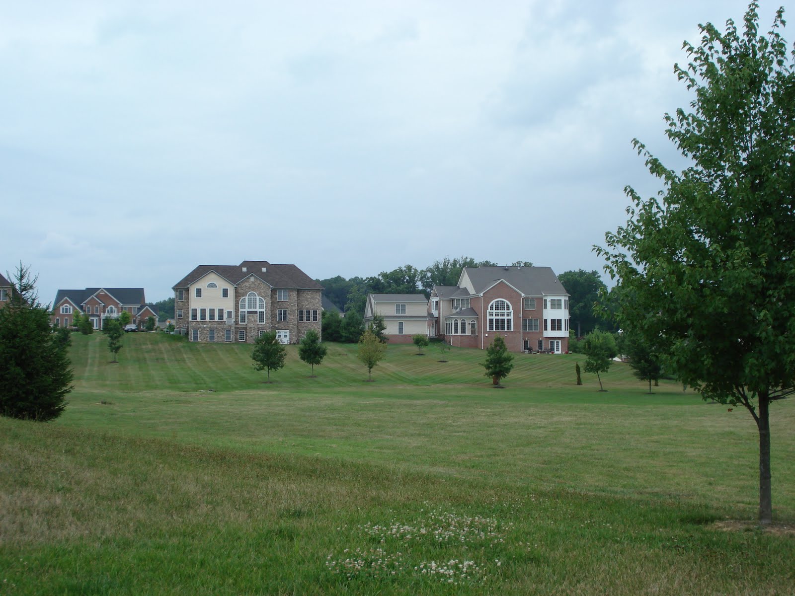 Natalie Washington DC Luxury Homes "Bequest" the Legacy of Fairwood