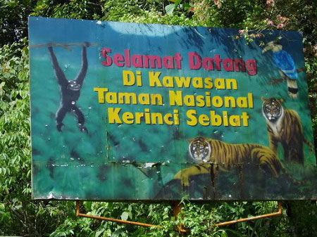 Flora Dan Fauna Taman Nasional Kerinci Seblat Dtechnoindo