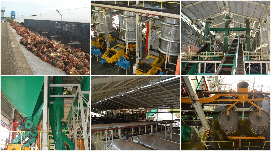 Palm Oil Mill 2018