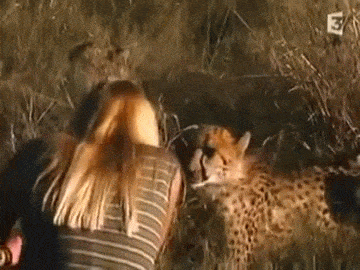 7.gif