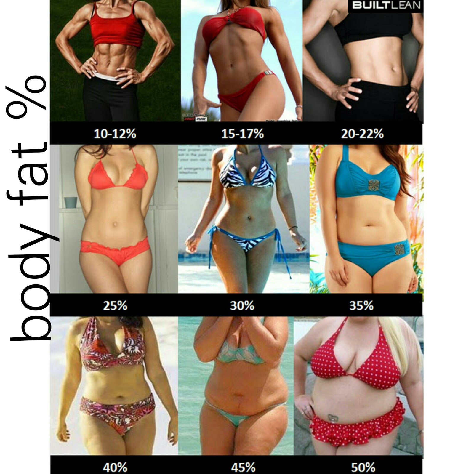 Mom Fitness Diary Body Fat What Percentage Are You And Where You