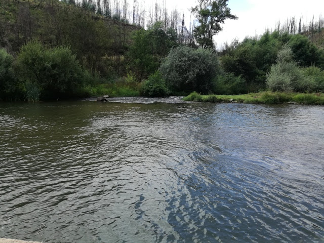 águas do Rio Alva