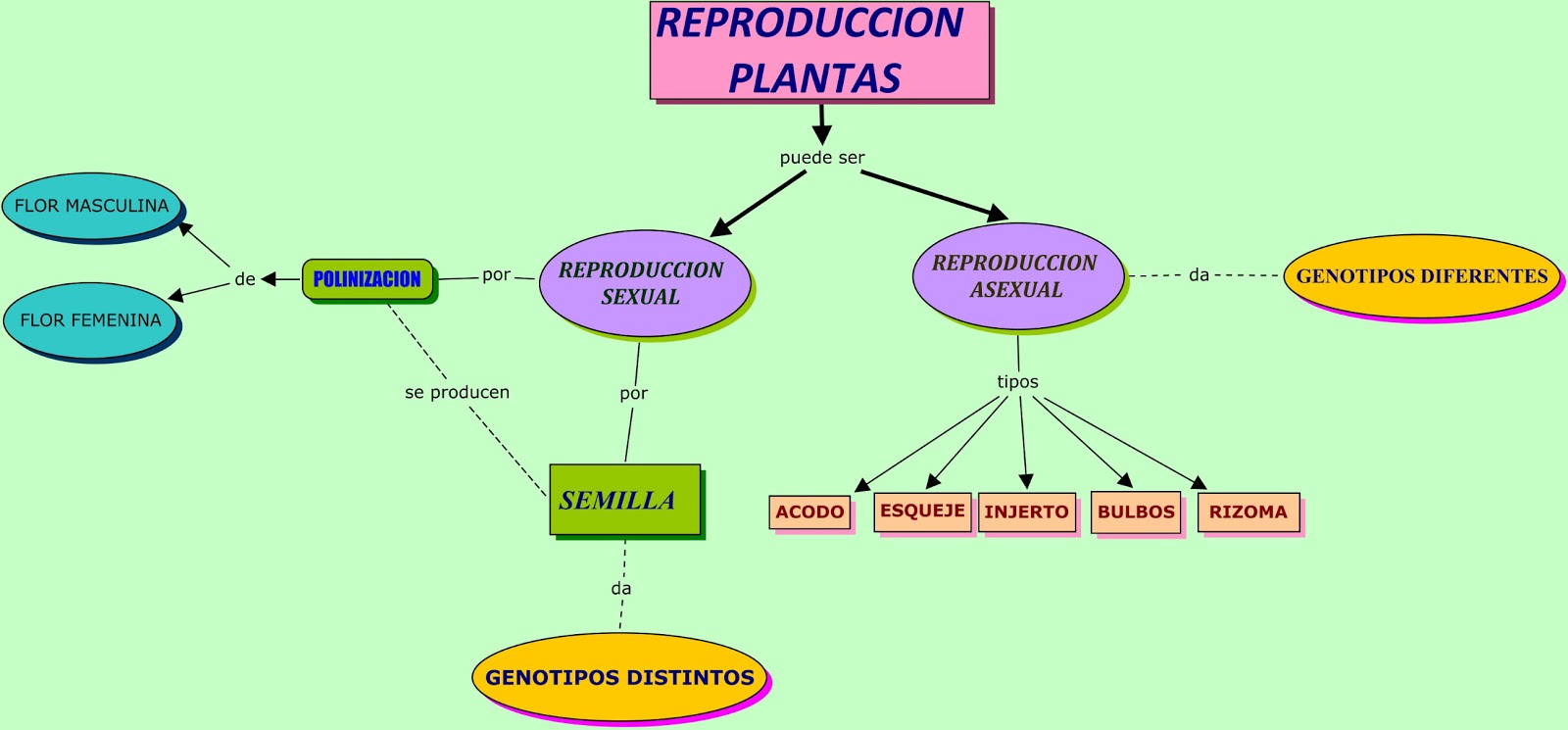 PCPI JARDINERIA IES Nº1 LIBERTAS: Tarea MC-5 Publicar mapa conceptual