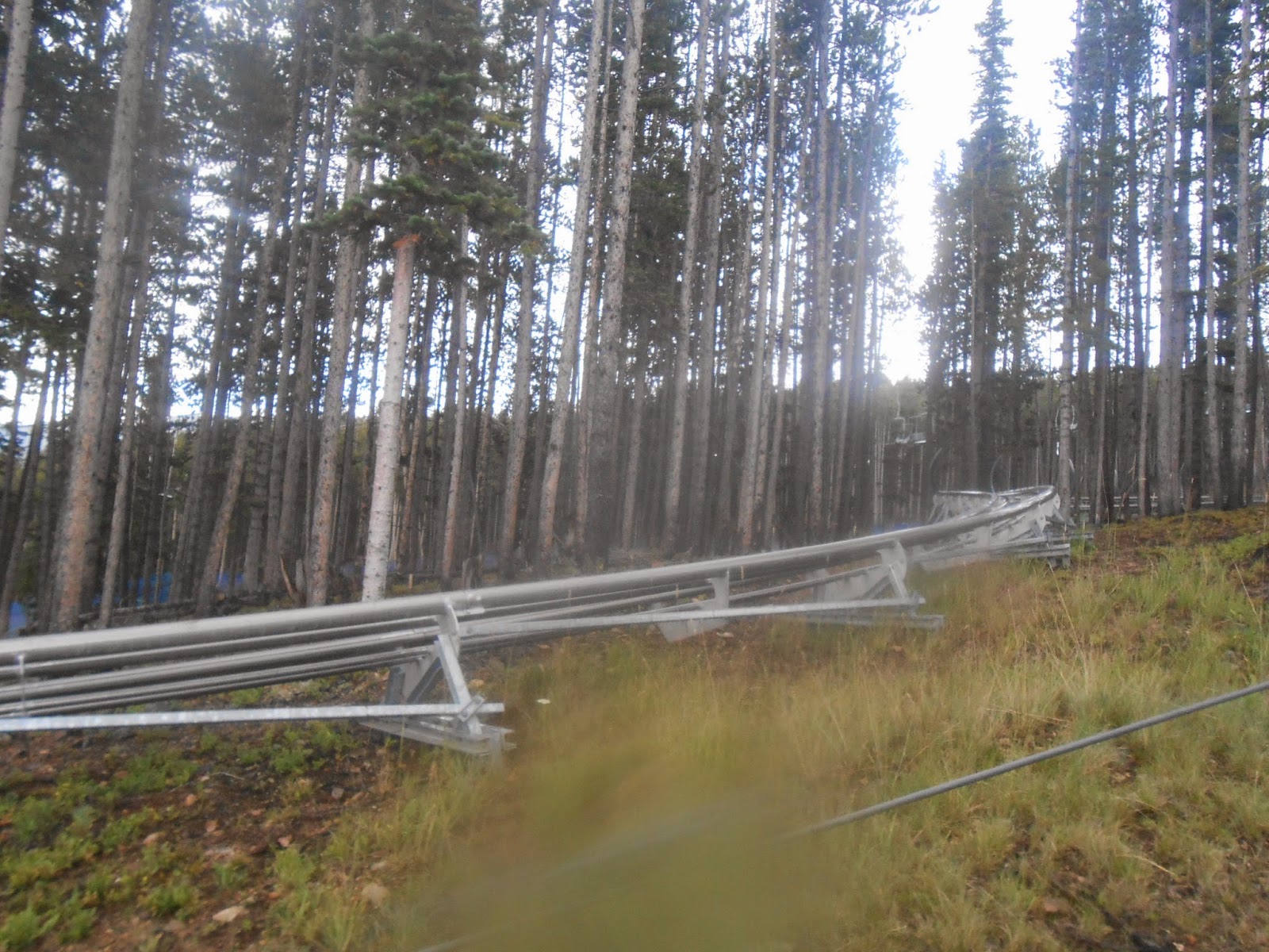 Explore Colorado Gold Runner Coaster Breckenridge Mine Cart Style