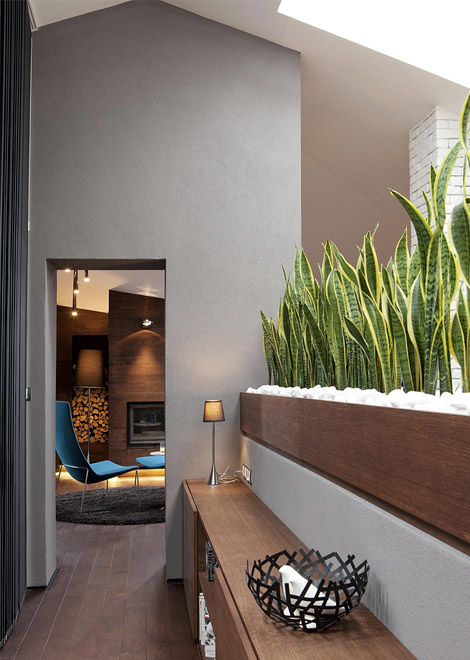 studiomorado: Ideas para jardin interior - Interior courtyard ideas