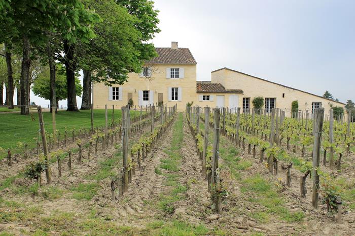 bordeaux; wine region; france; travel; adventure; wanderlust; vineyard; winery;