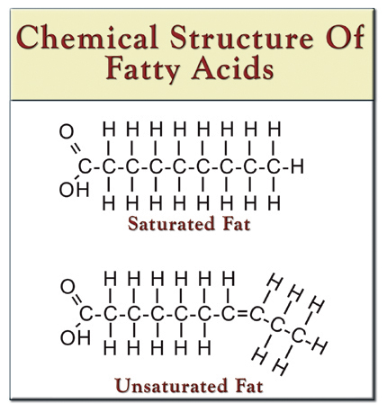 Structure Of Unsaturated Fat 121