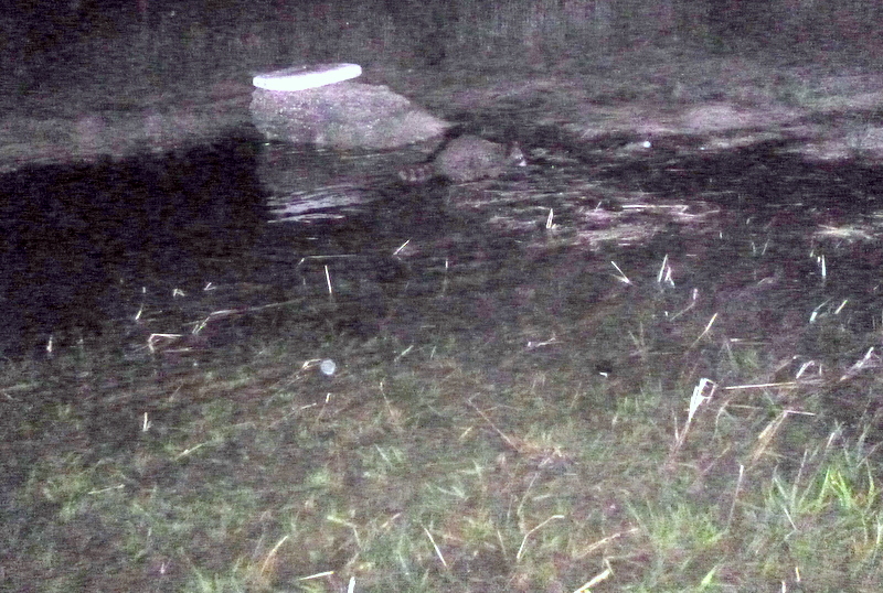 Going to the water Little Neck Bay （Ⅸ）night fishing