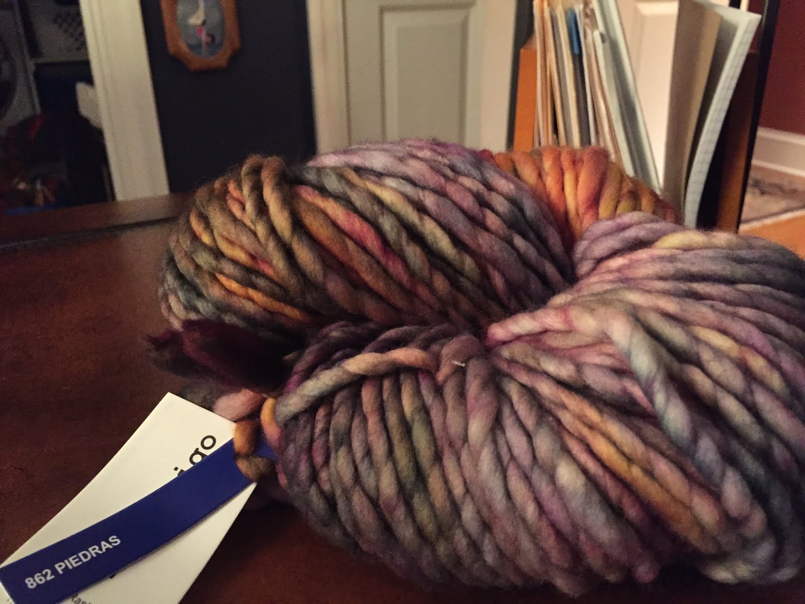 The Organized Knitter Malabrigo yarn bought in Kanawha City Yarn shop