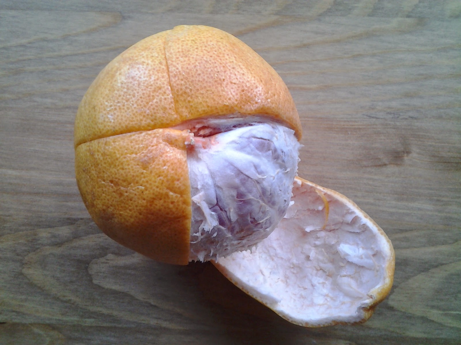 Winding Spiral Case How To Peel Grapefruits & Oranges For Packed Lunches