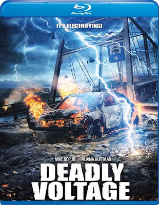 Deadly Voltage 2015 Daul Audio 720p BRRip HEVC x265