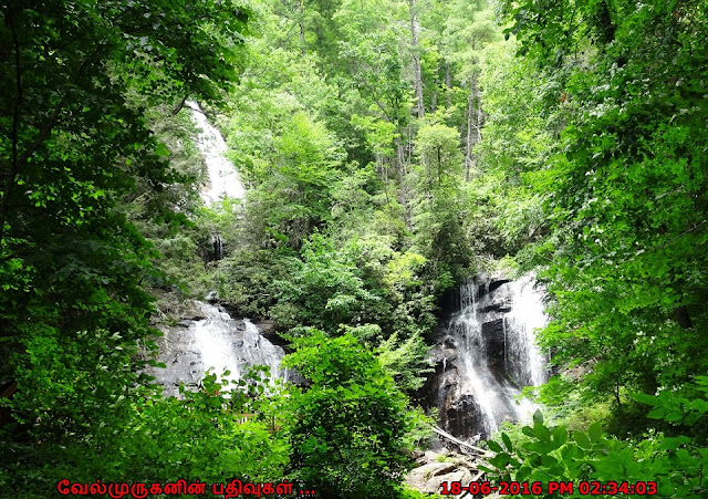 Anna Ruby Falls Helen