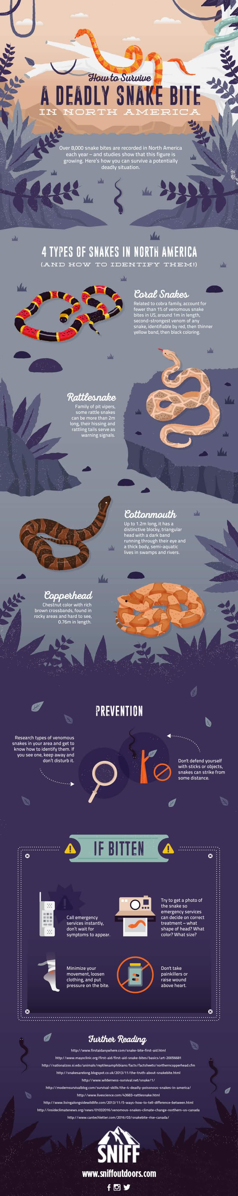 How To Survive a Deadly Snake Bite In North America #Infographic #Animal #HowTo #Snake How To Survive a Deadly Snake Bite In North America