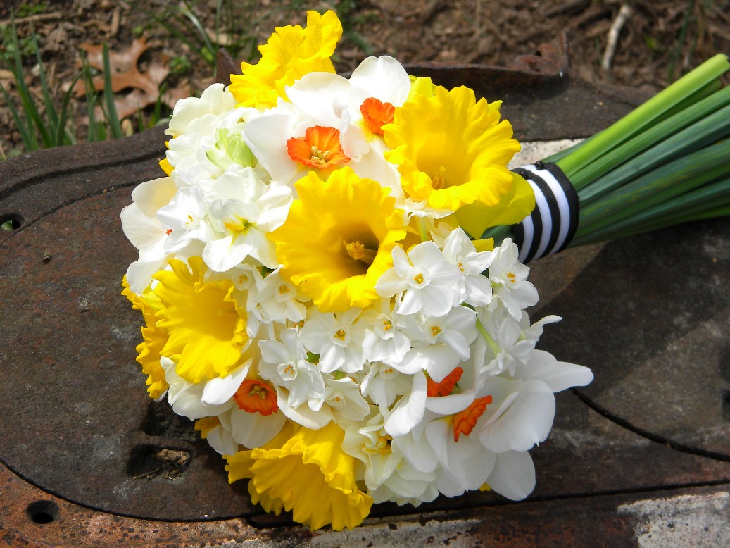 Wedding Flowers from Springwell Daffodil Love!