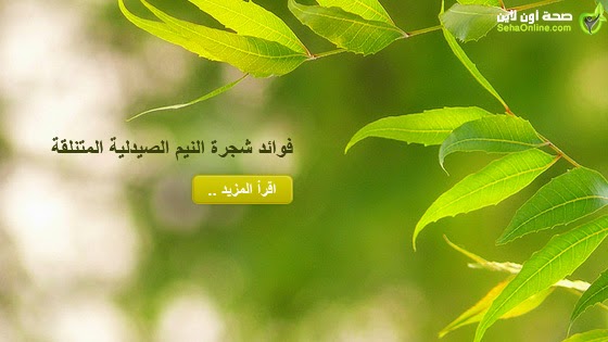مدونة النجاح العربية فوائد شجرة النيم الصيدلية المتنلقة