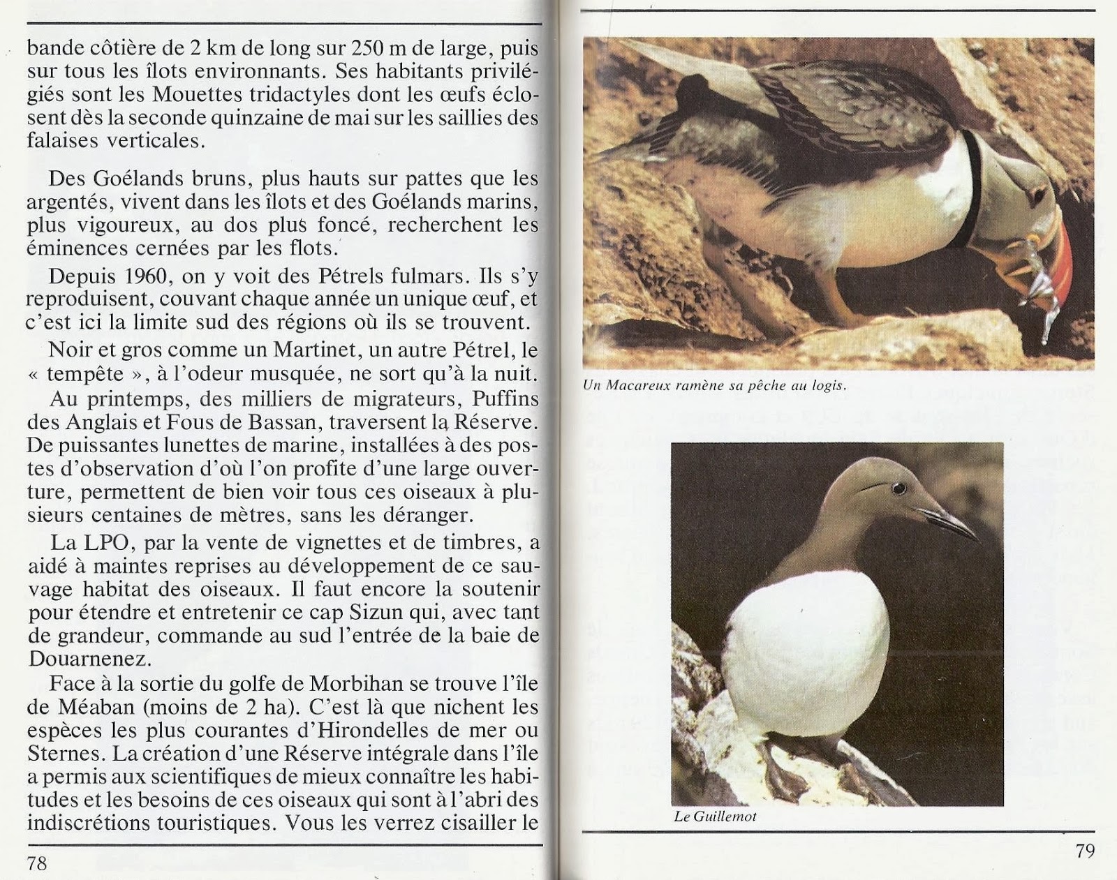 Leçons de choses: Au bord de la mer (grand format pour grand écran)