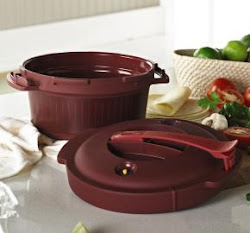 pressure cooker tupperware chicken recipes soup microwave micro tw patty visit consultant