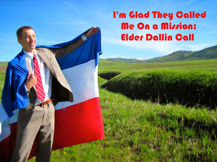 I'm Glad They Called Me on a Mission : Elder Dallin Call