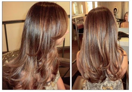 Hair Color Ideas Dark Brown With Blonde Highlights Hair Color