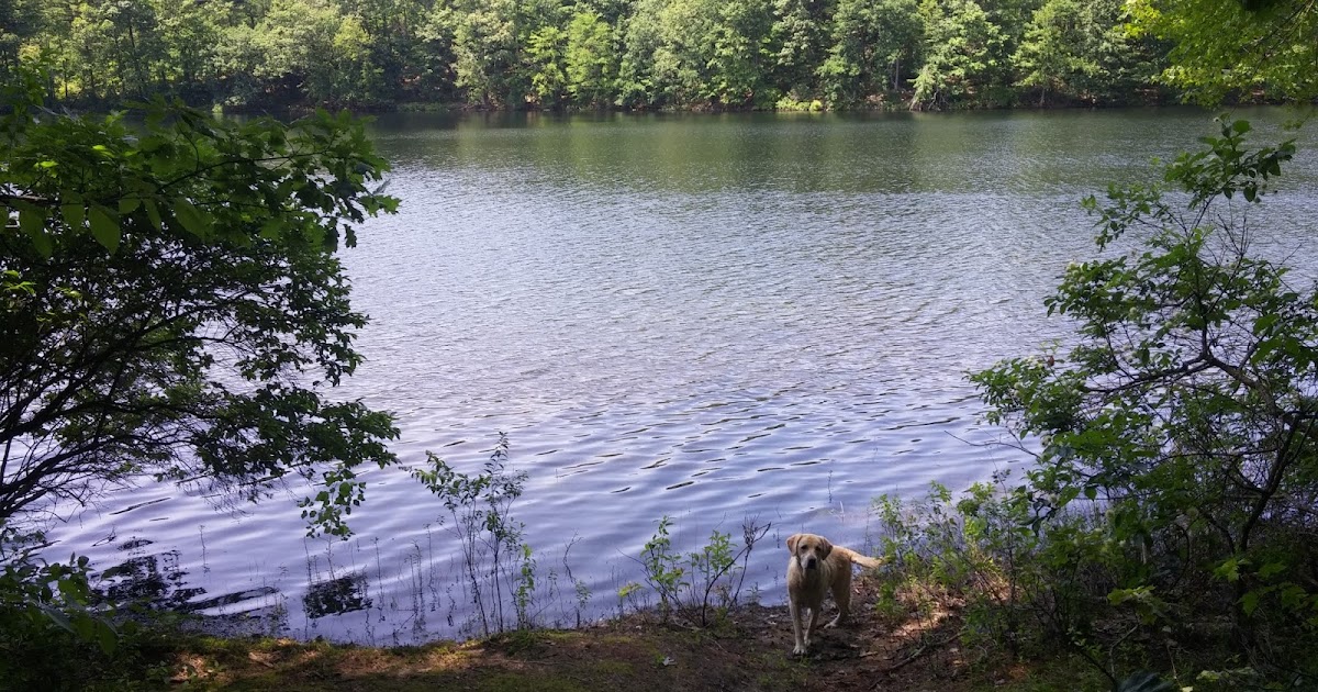 The History of Pinnacle Park Hooksett, NH