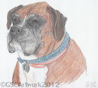 baxter boxer dog colored pencil drawing