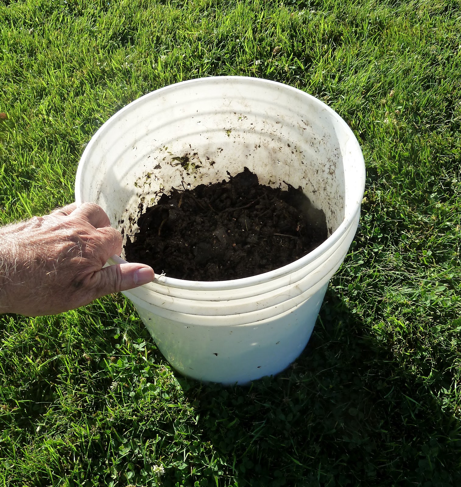 Gardening for Life Discovering New Ways To Feed The World