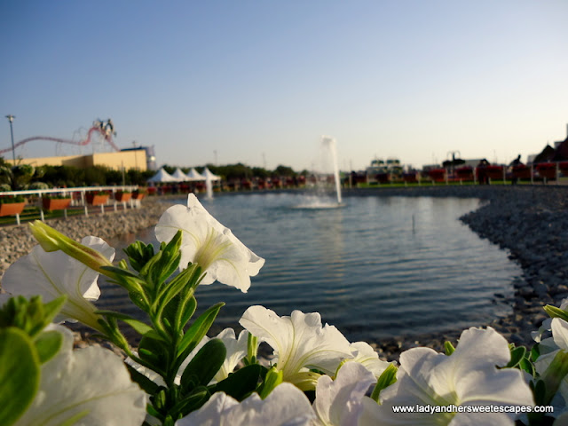 lakes at Dubai Miracle Garden