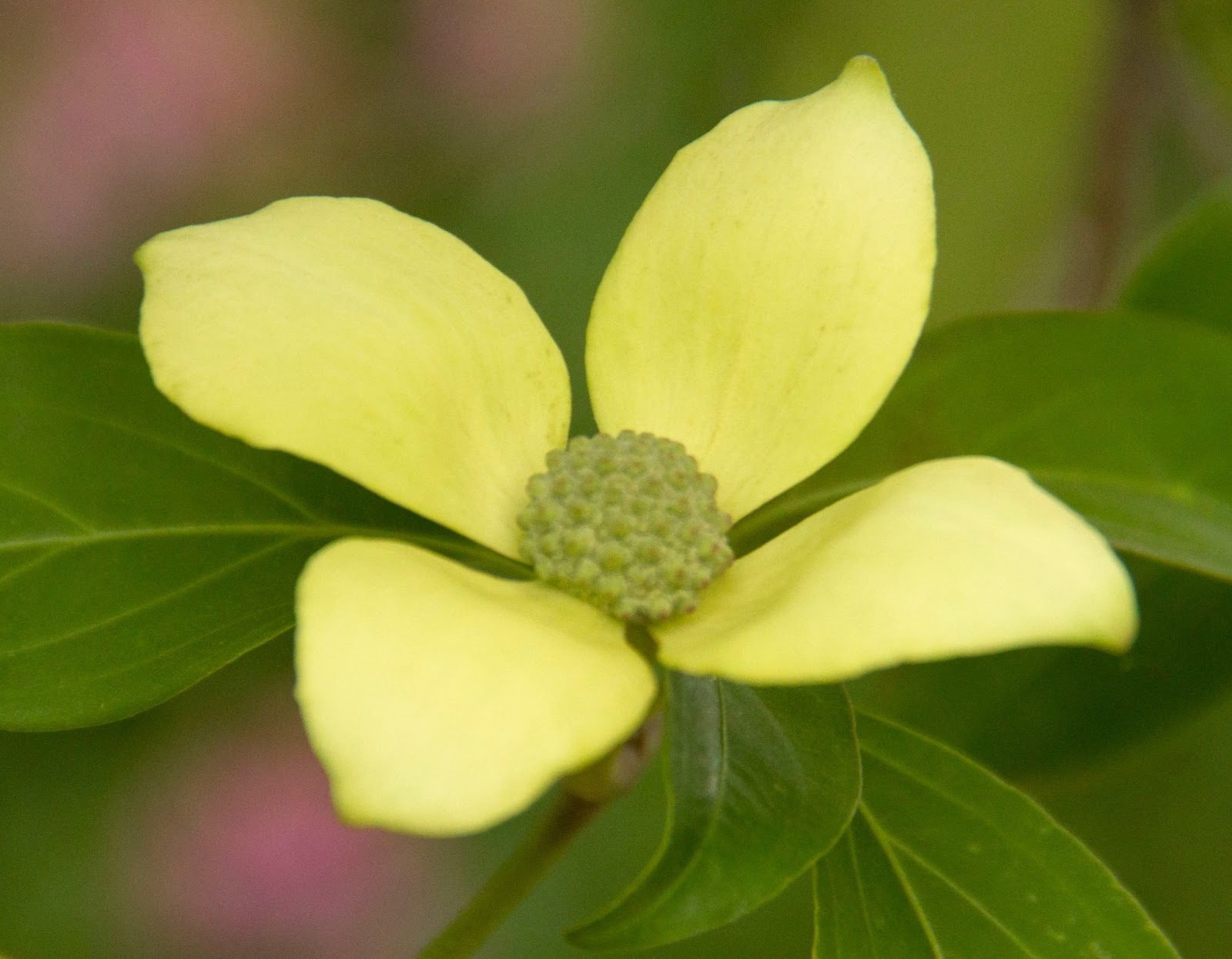Instantes, fotos de Sebastián Navarrete junio 2013