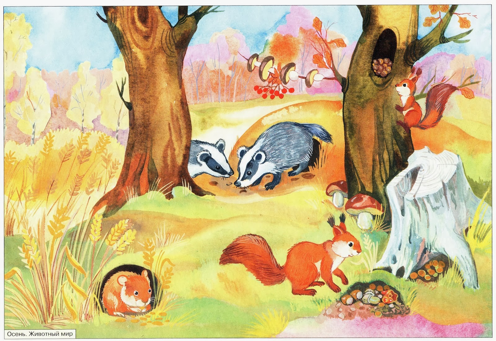 Детский сад для зверей. Животные готовятся к зиме. Иллюстрации осень для детского сада. Осенью звери готовятся к зиме. Животные осенью для детского сада.